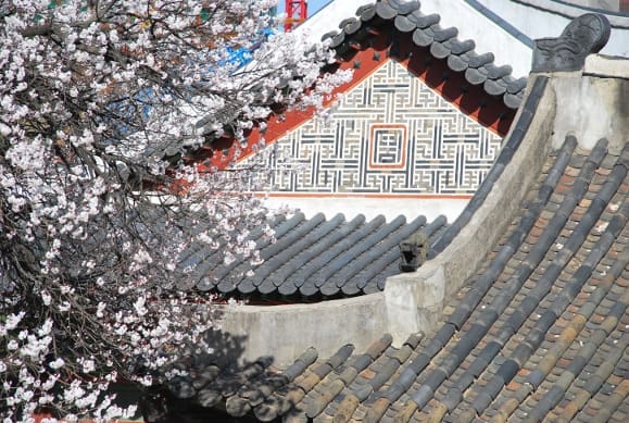 South Korea, Seoul – roofs, 2011