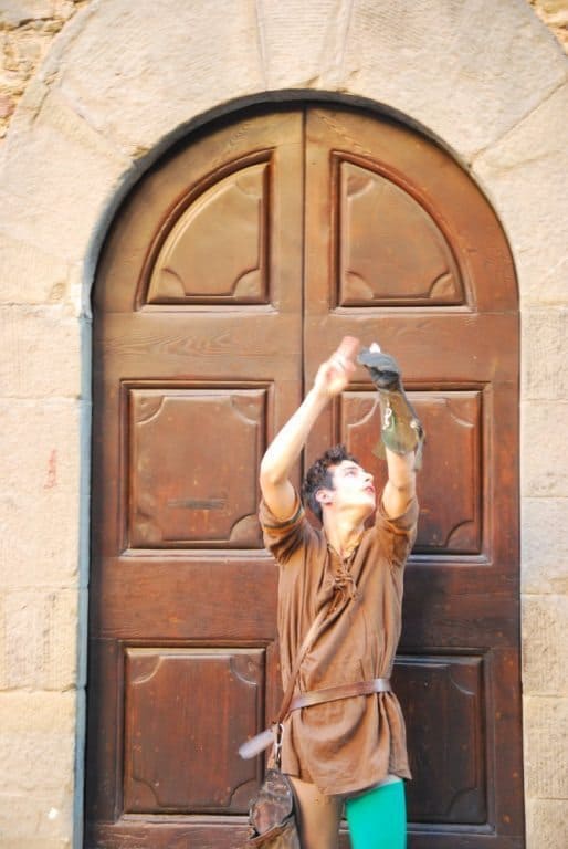 Italy, Cortona – calling hawk, June 2014
