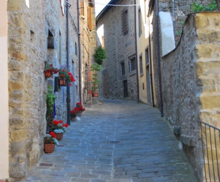 Italy, Cortona – street with flowers, June 2014