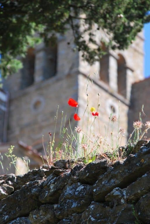 Italy, Cortona – poppies and bell tower, June 2014