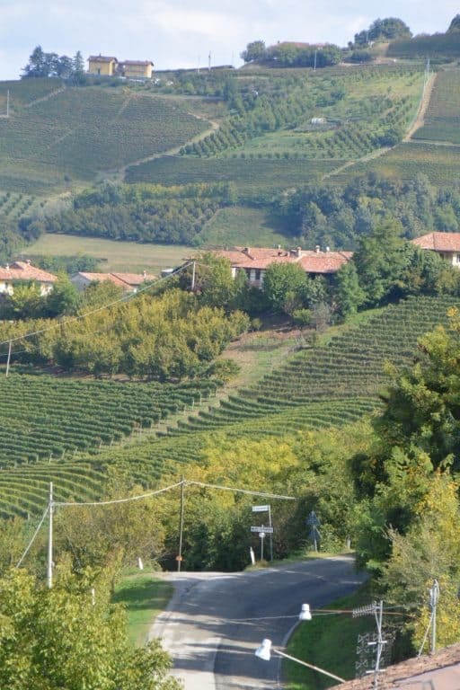 Grinzane Cavour – view, Oct.2015