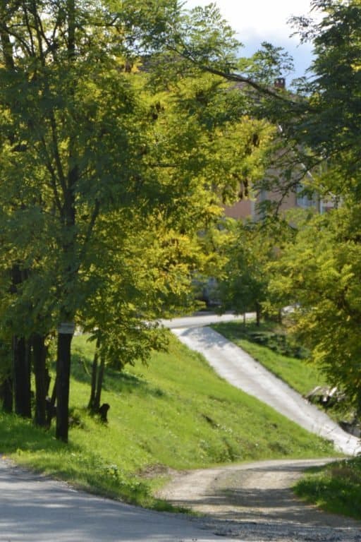 Grinzane Cavour – road, Oct.2015