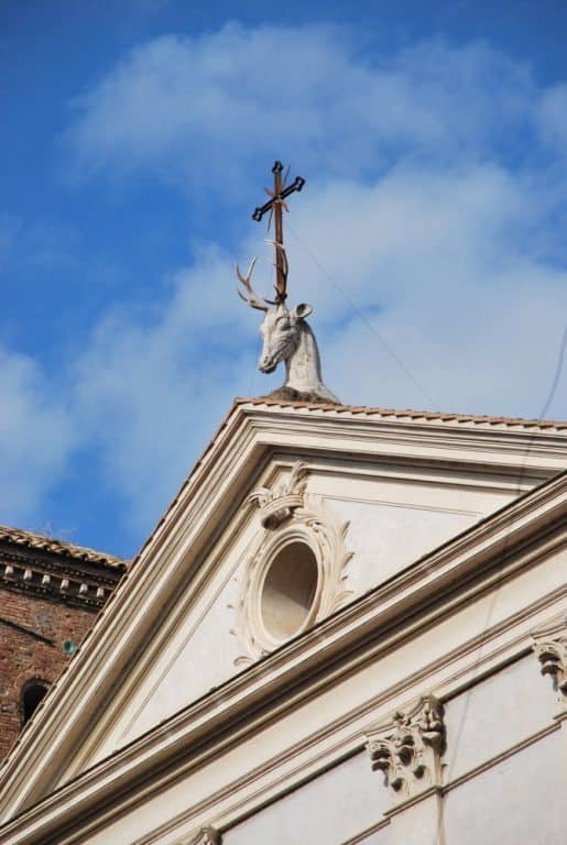 Italia, Roma – cervo, novembre 2013