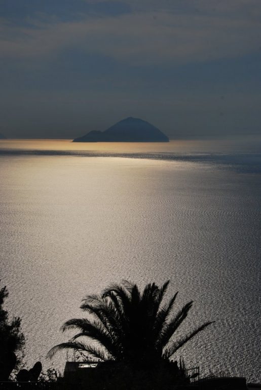 Italy, Eolian Islands, Lipari – palm, 2012