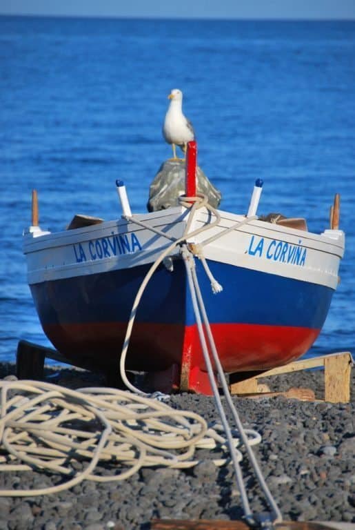 italy-eolian islands-stromboli  (21)