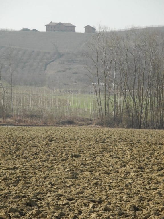 Italy, Langhe – soil, Mar.2012