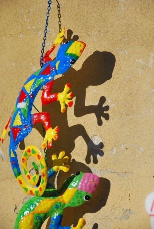 Italy, Lucca – colourful gecko,  2010