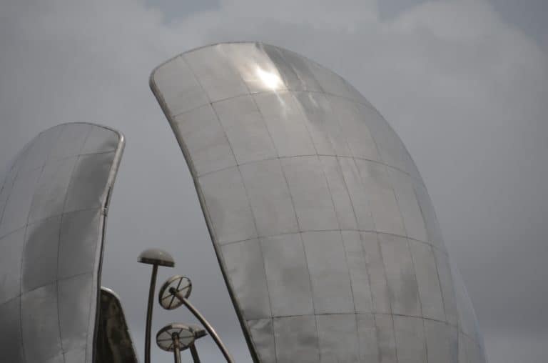 Il fiore di metallo a Buenos Aires