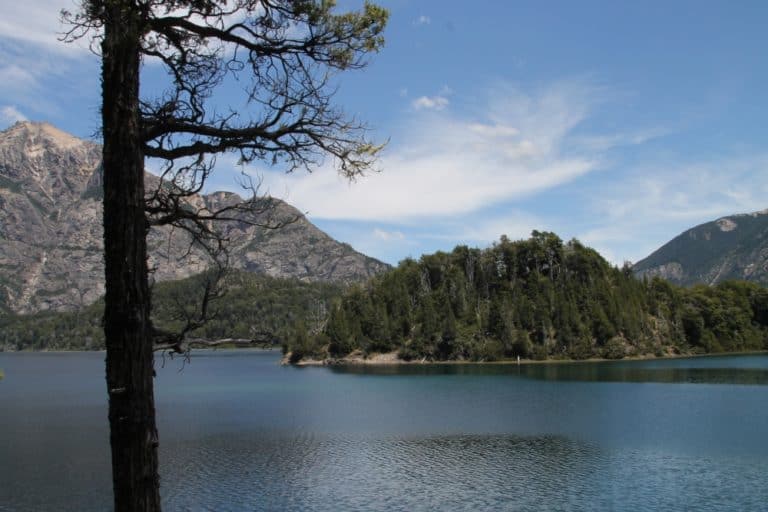 natura – albero e lago, Gen.2016 (Bariloche)