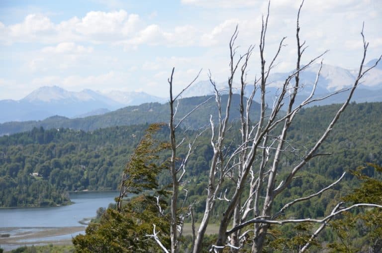 natura – rami, Gen.2016 (Bariloche)
