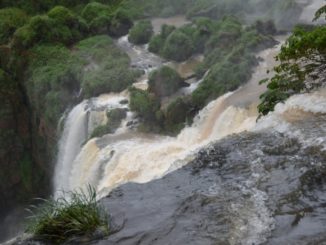 Iguazu-Argentina-(21)