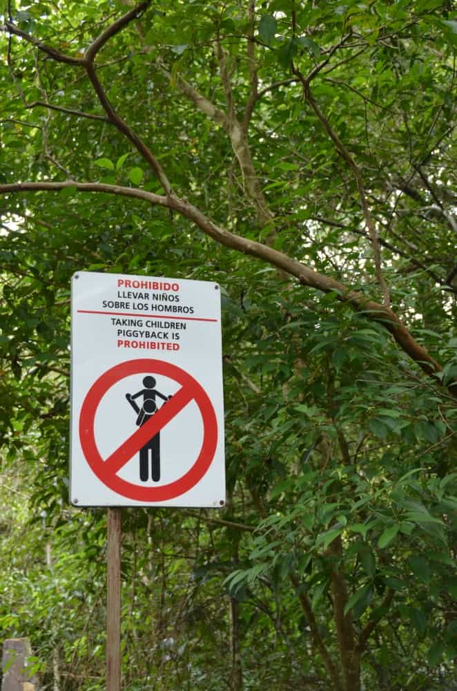child must not on the shoulders, Jan.2016 (Iguazù)