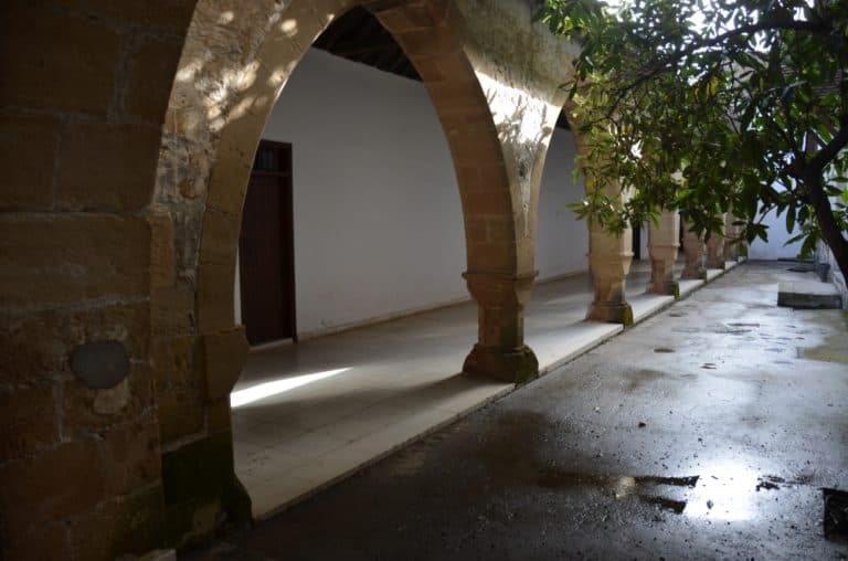 Chrysorrogiatissa – wet ground, Mar.2015