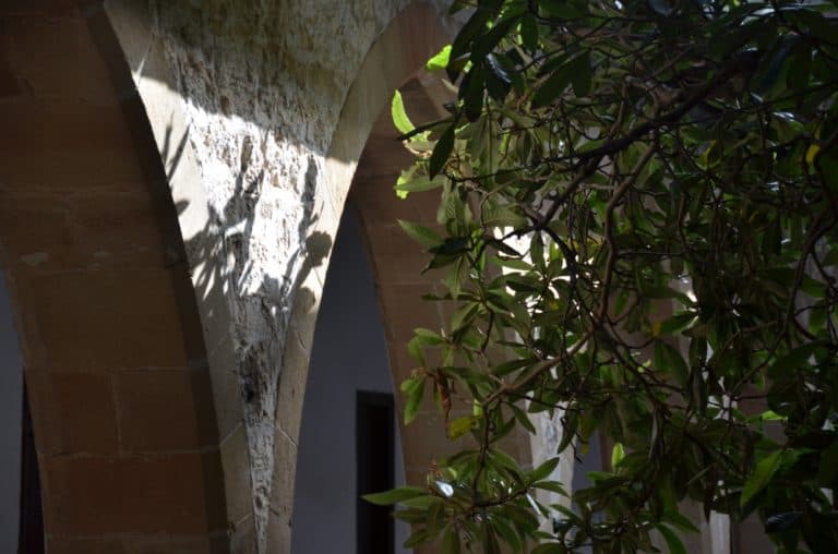 Chrysorrogiatissa – shadows, Mar.2015
