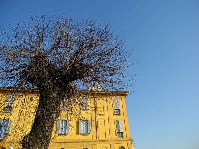 Dopo aver mangiato le rane abbiamo visitato l’Abbazia di Morimondo.