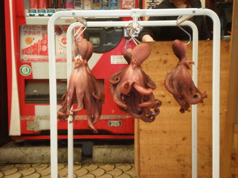 Japan, Akashi – hanging, Apr. 2013