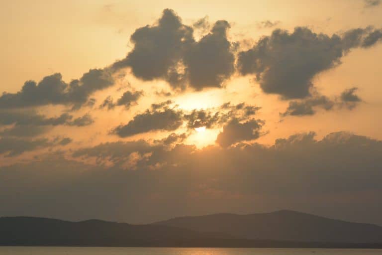 Alghero (102) (Sardegna)