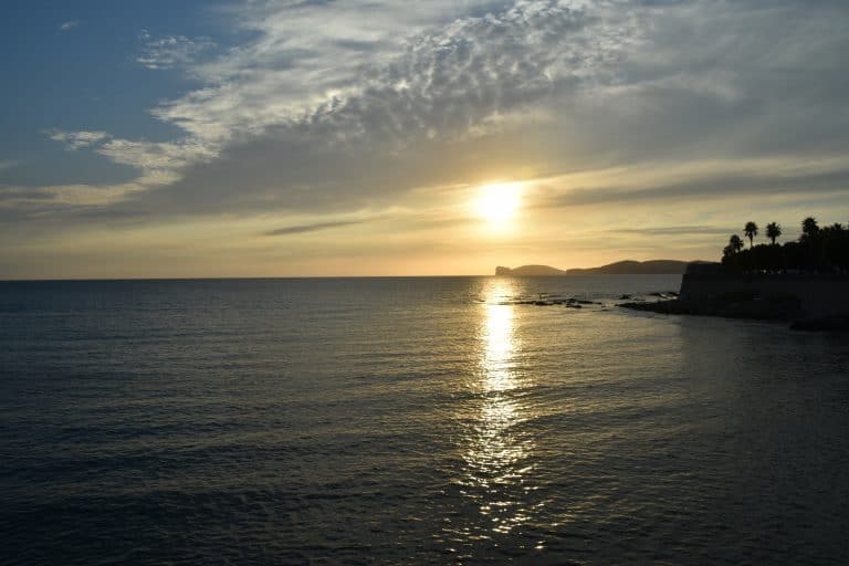 Alghero 2020 (256) (Sardegna)
