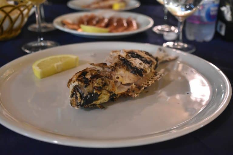 Alghero 2020 (60) (Sardegna)
