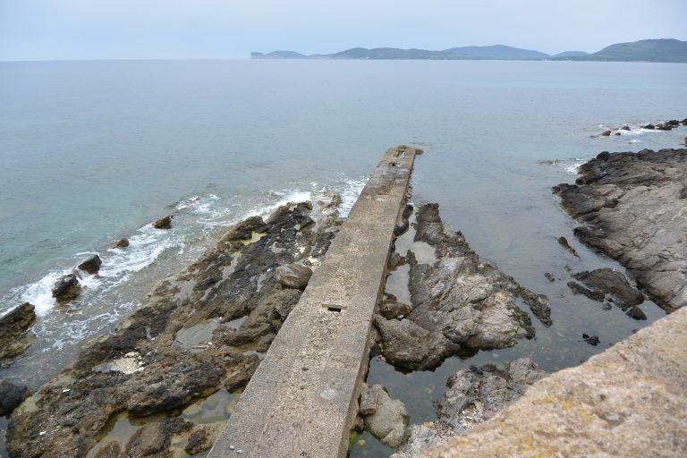 Alghero (77) (Sardegna)