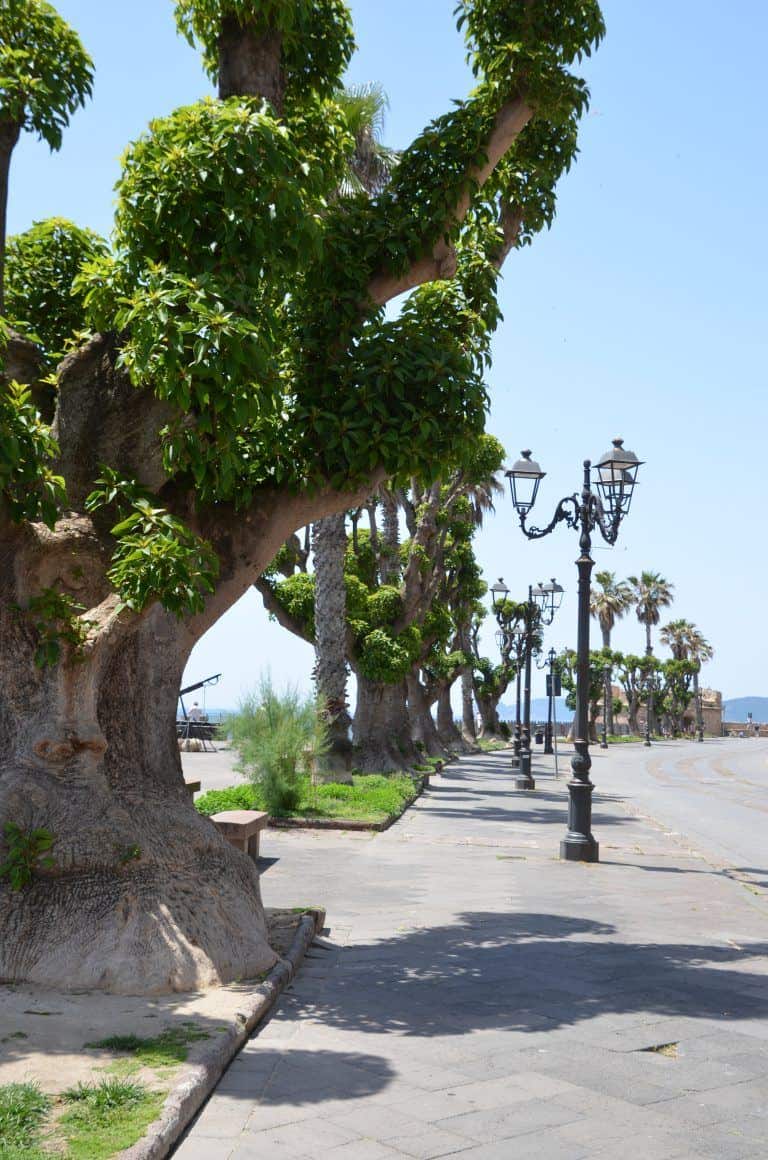 Alghero (9) (Sardegna)