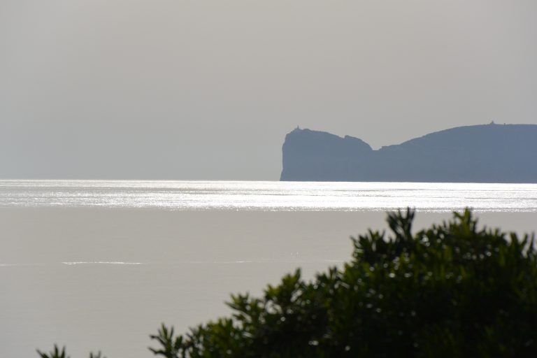 Alghero (92) (Sardegna)