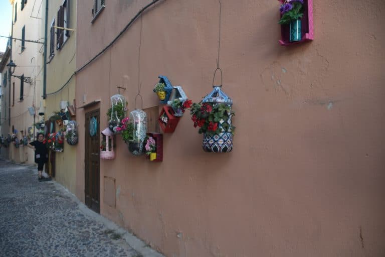 Alghero2020 (120) (Sardegna)