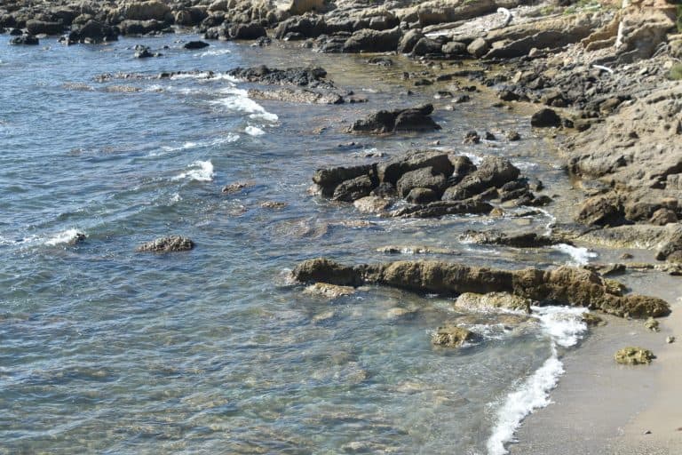 Alghero2020 (174) (Sardegna)