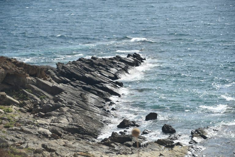 Alghero2020 (177) (Sardegna)
