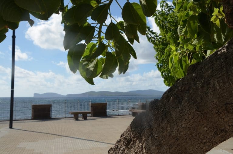 Alghero2020 (179) (Sardegna)
