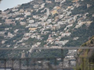 Amalfi – plant,  Oct.2015