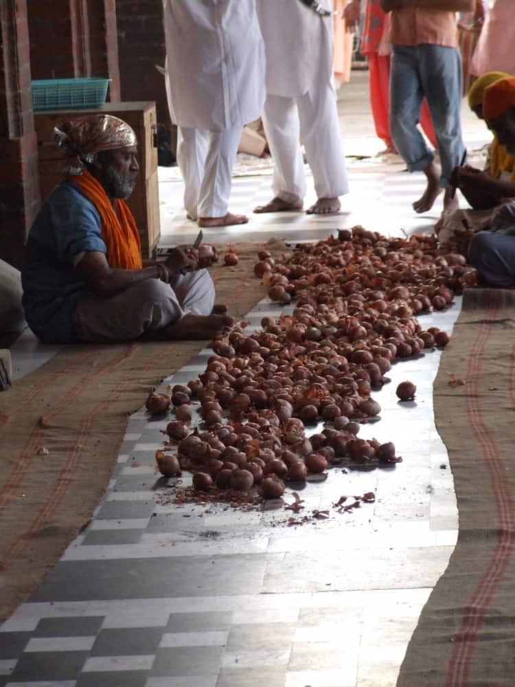 India, Amritsar – peel, Sept.2006 (Amritsar)