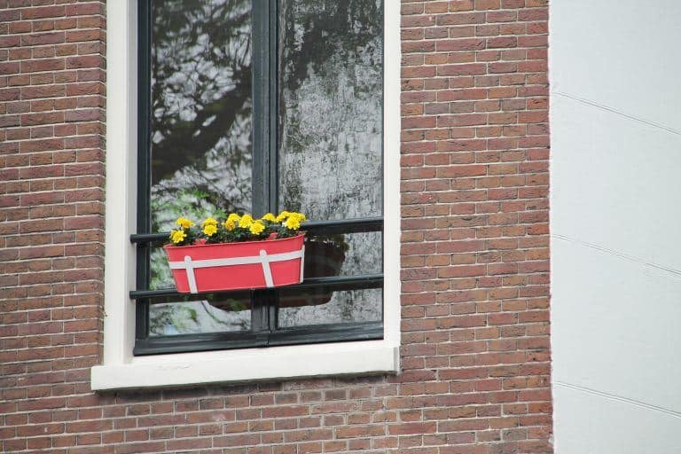 Amsterdam- (37) (Ámsterdam)