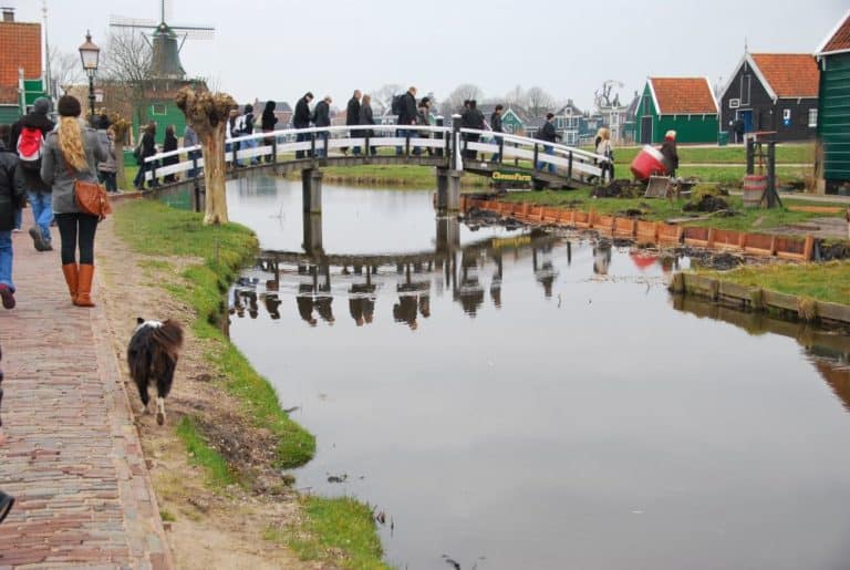 Group tour to outskirts of Amsterdam