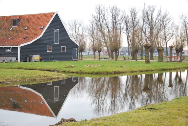The Netherlands, Amsterdam – barn, 2011 (Ámsterdam)