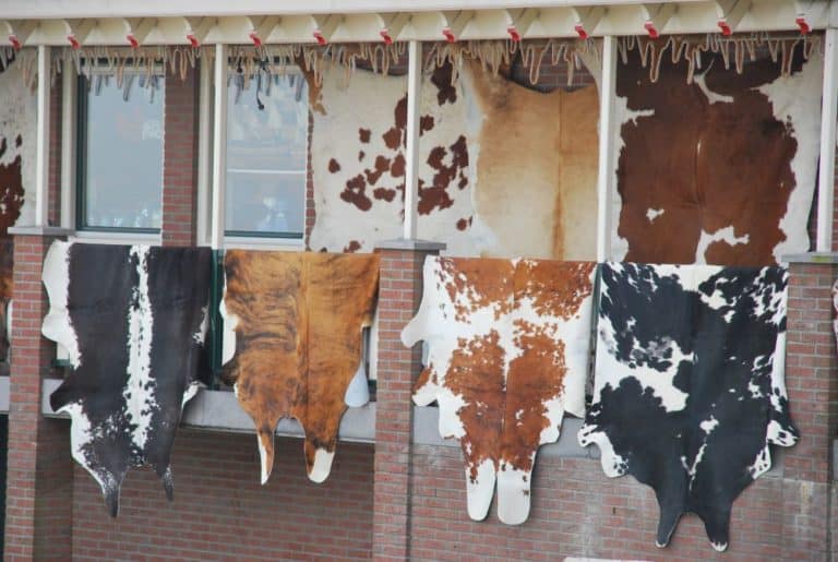 The Netherlands, Amsterdam – fur, 2011 (Ámsterdam)