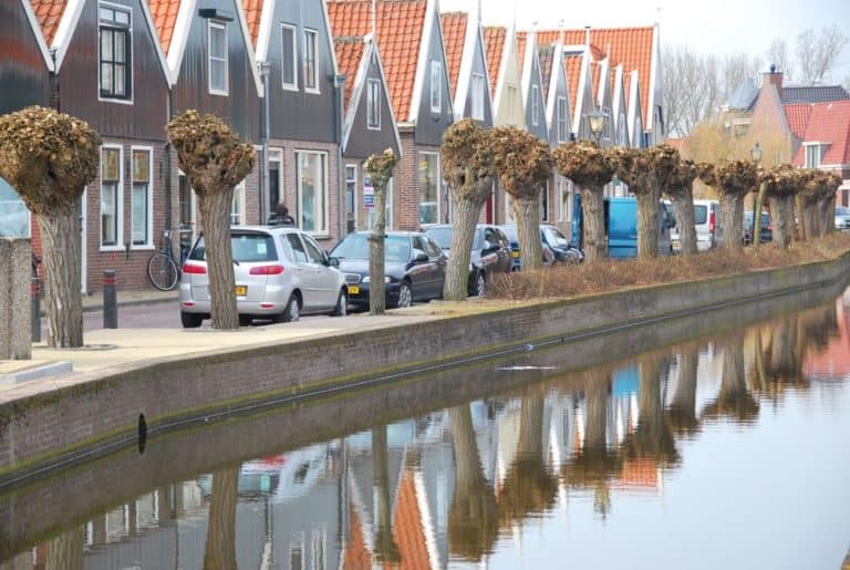 The Netherlands, Amsterdam – line of trees, 2011 (Ámsterdam)