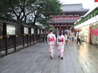 Japan, Tokyo – black door, Aug.2014