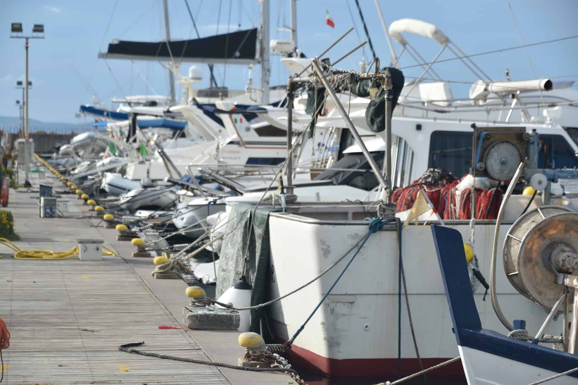 tour asinara catamarano