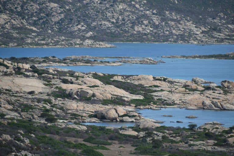 Asinara 2020 (13) (Sardegna)