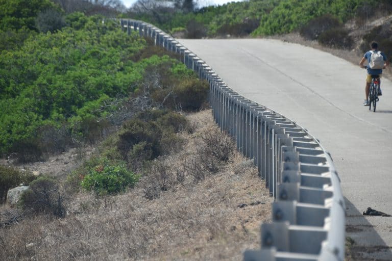 Asinara 2020 (14) (Sardegna)