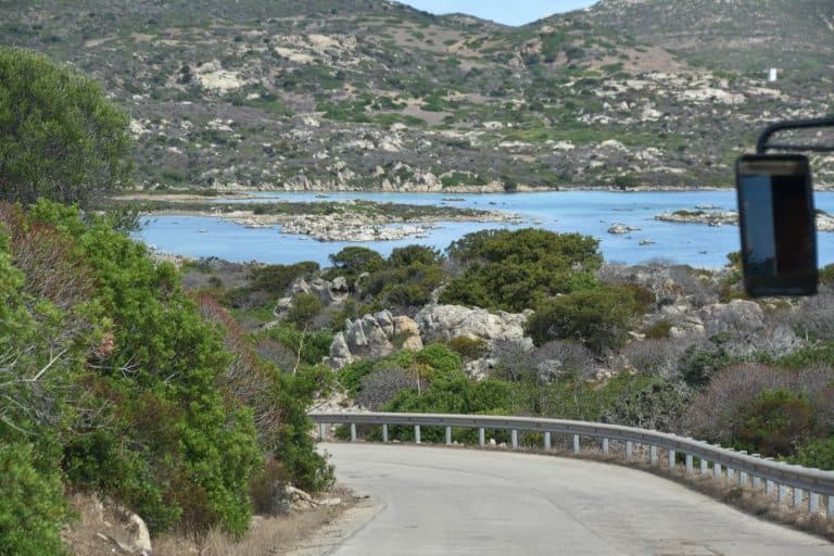 Asinara 2020 (15) (Sardegna)