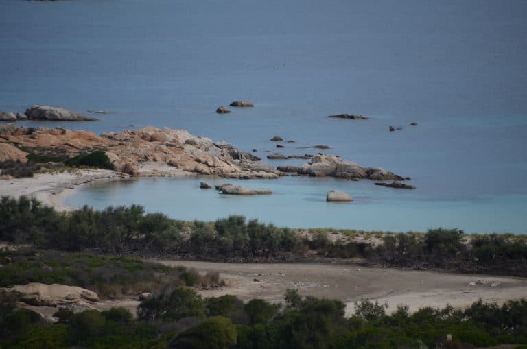 Asinara 2020 (16) (Sardegna)