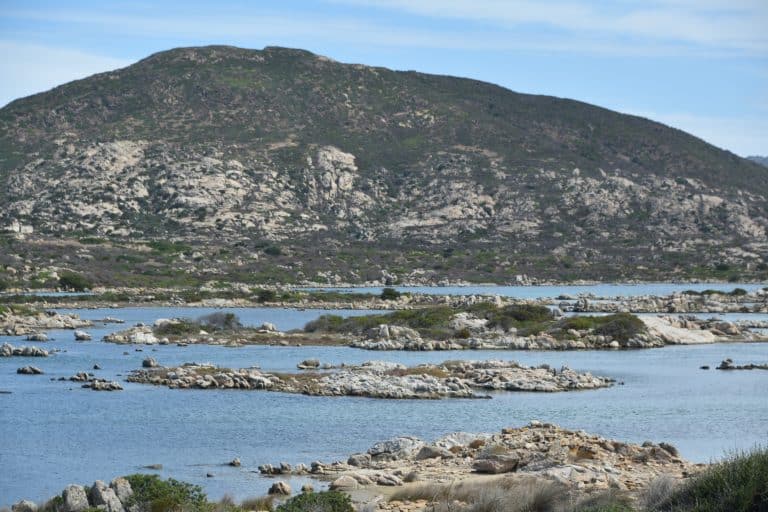 Asinara 2020 (17) (Sardegna)