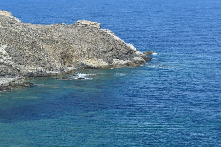 Asinara 2020 (19) (Sardegna)