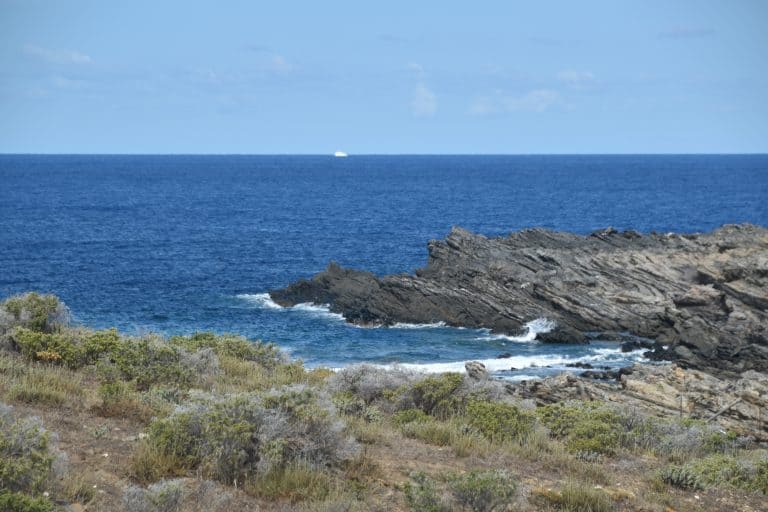 Asinara 2020 (24) (Sardegna)