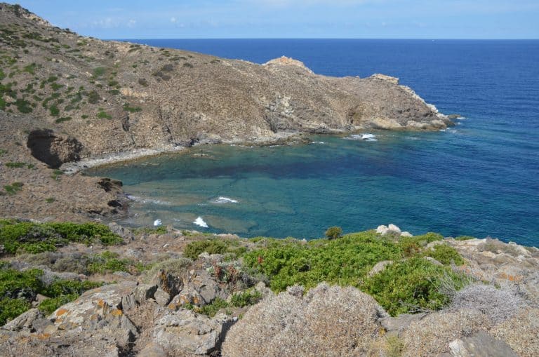 Tomando el sol en una playa en Asinara