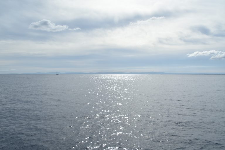 Asinara 2020 (3) (Sardegna)