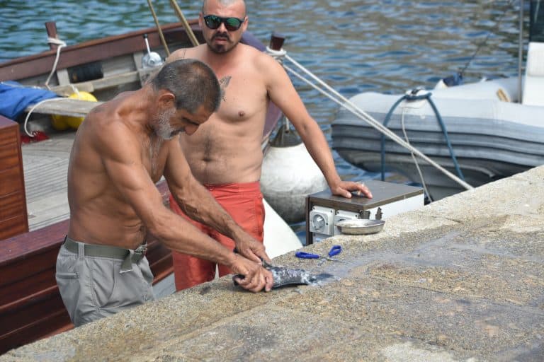 Asinara 2020 (32) (Sardegna)