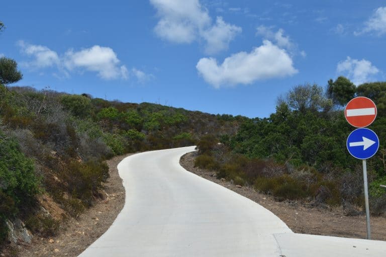 Asinara 2020 (37) (Sardegna)